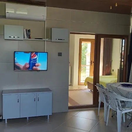 Altinoluk Denize 50 M 1+1 Yeni Daire * Edremit (Balikesir)