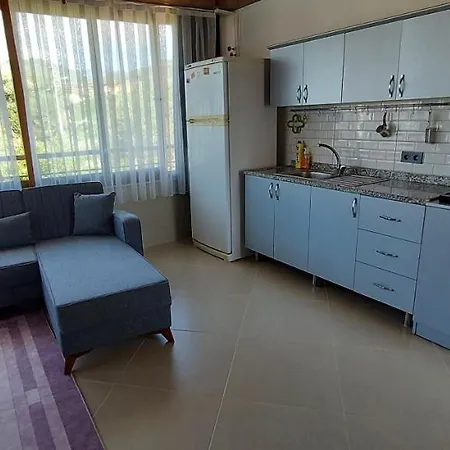 Altinoluk Denize 50 M 1+1 Yeni Daire Apartment Edremit (Balikesir)